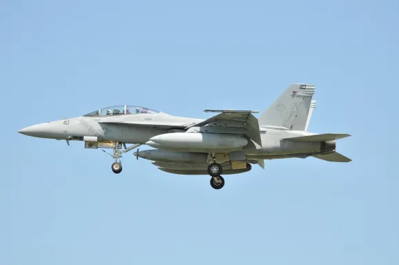 Casino Crypto Wild Assistance